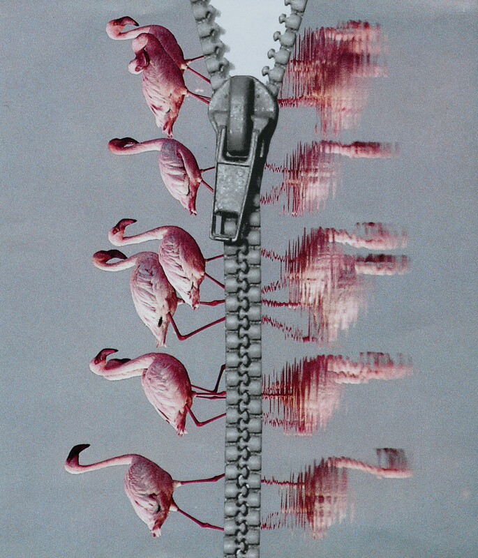 flamingo collage zipper
rits